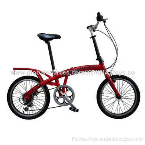 Folding Bike